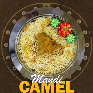 Mandi Camel