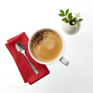 Mocha | موکا
