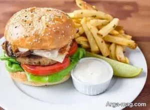 Chicken Burger | برگر گوشت مرغ