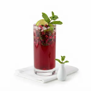 Pomegranate Mojito | موهیتو انار