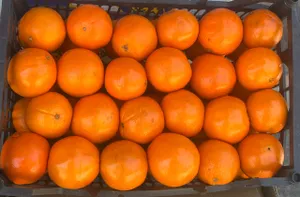 Orange 1 KG | ۱ مالته کیلو