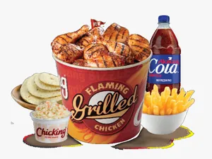 9 Pieces Grilled Family Meal | غذای فامیلی مرغ گریل ۹ تکه