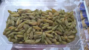 Green Raisins 1 Kg | کشمش سبز ۱ کیلو