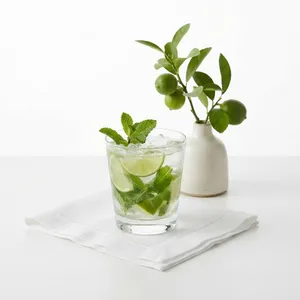 Mint Mojito | موهیتو نعنا