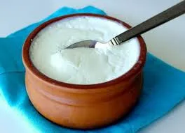 ماست خانگی