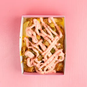 Loaded Cheese Fries | لوډیډ چیز فرایز