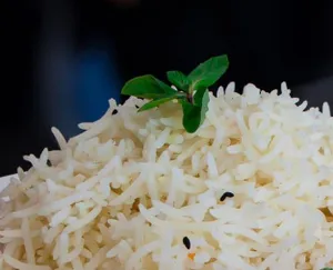 Plain Rice