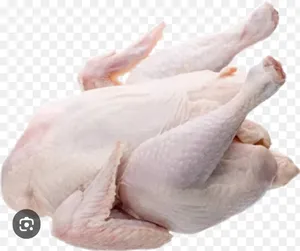 Full Chicken | مرغ مکمل