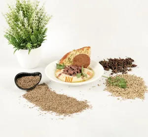 Hummus With Meat - حمس همرا با گوشت