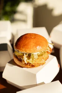 Zinger Burger | زینګر برګر