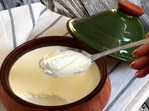 تندوری ماست