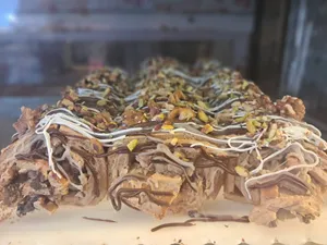 Tashkandi Cream Cake 1 | کیک خامه ای تاشکندی