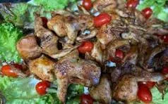 کباب بودنه