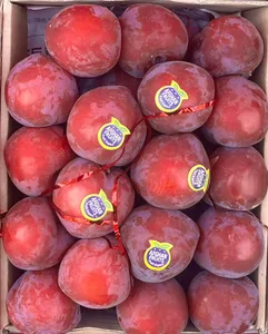 Red Plums | آلو سرخ