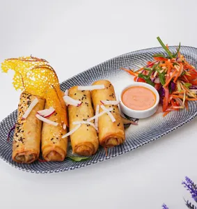 Vegetable Spring Roll