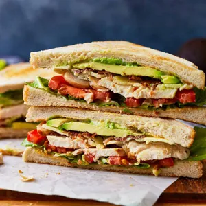 Chicken Doner Sandwich — دونر ساندویچ مرغ